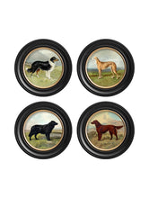 C.1881 Working Dogs in Round Frame