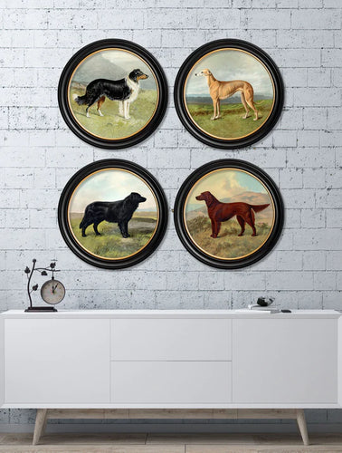 C1881. Working Dogs in Round Frame